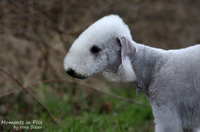 2010-04-02 Airis Blue Volshebny Svet (17).JPG